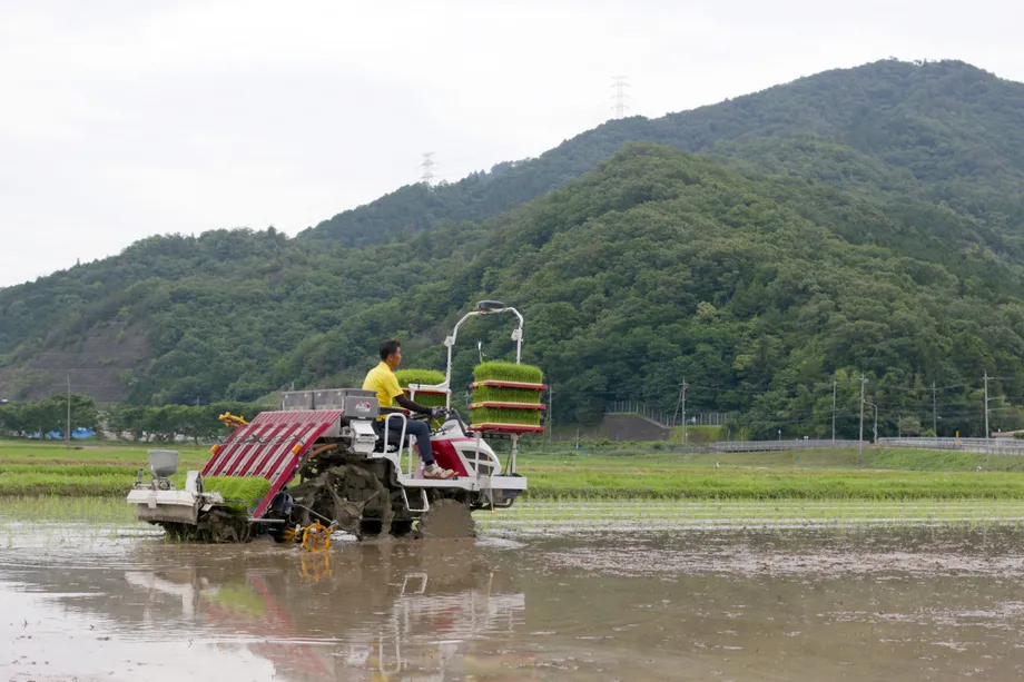 山を背に田植え機で作業する様子