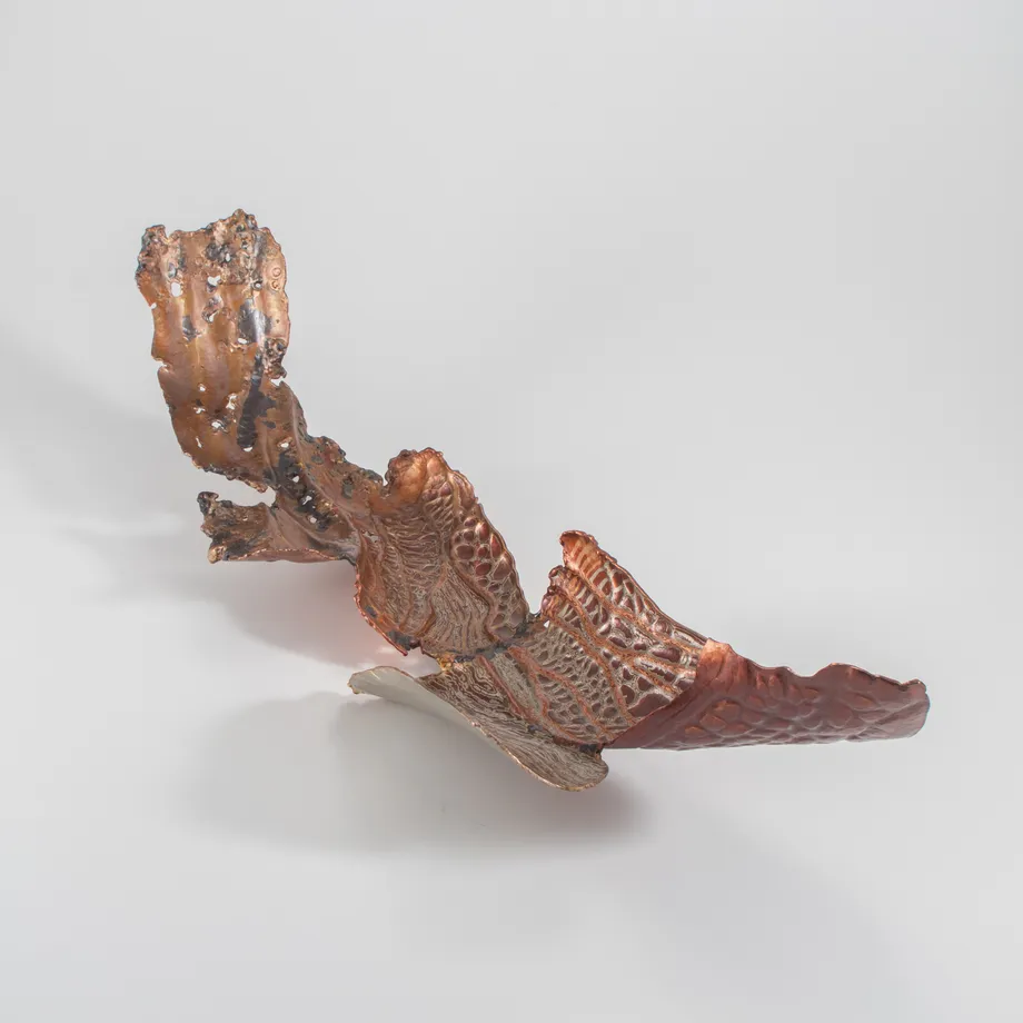 佐川和暉の作品「硫」