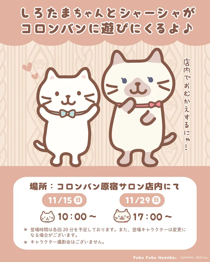 しろたまちゃんとシャーシャの登場案内