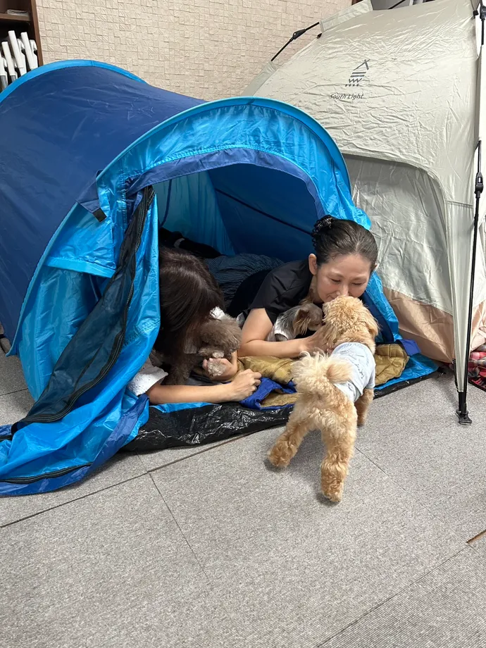 テントで犬と過ごす参加者