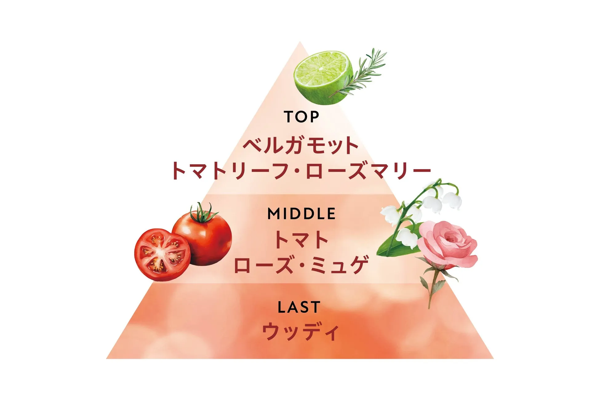 晴れた朝のガーデンをイメージした画像