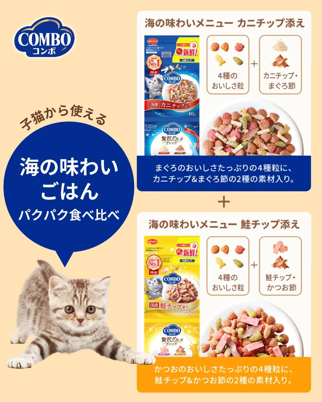 海の味わいセット