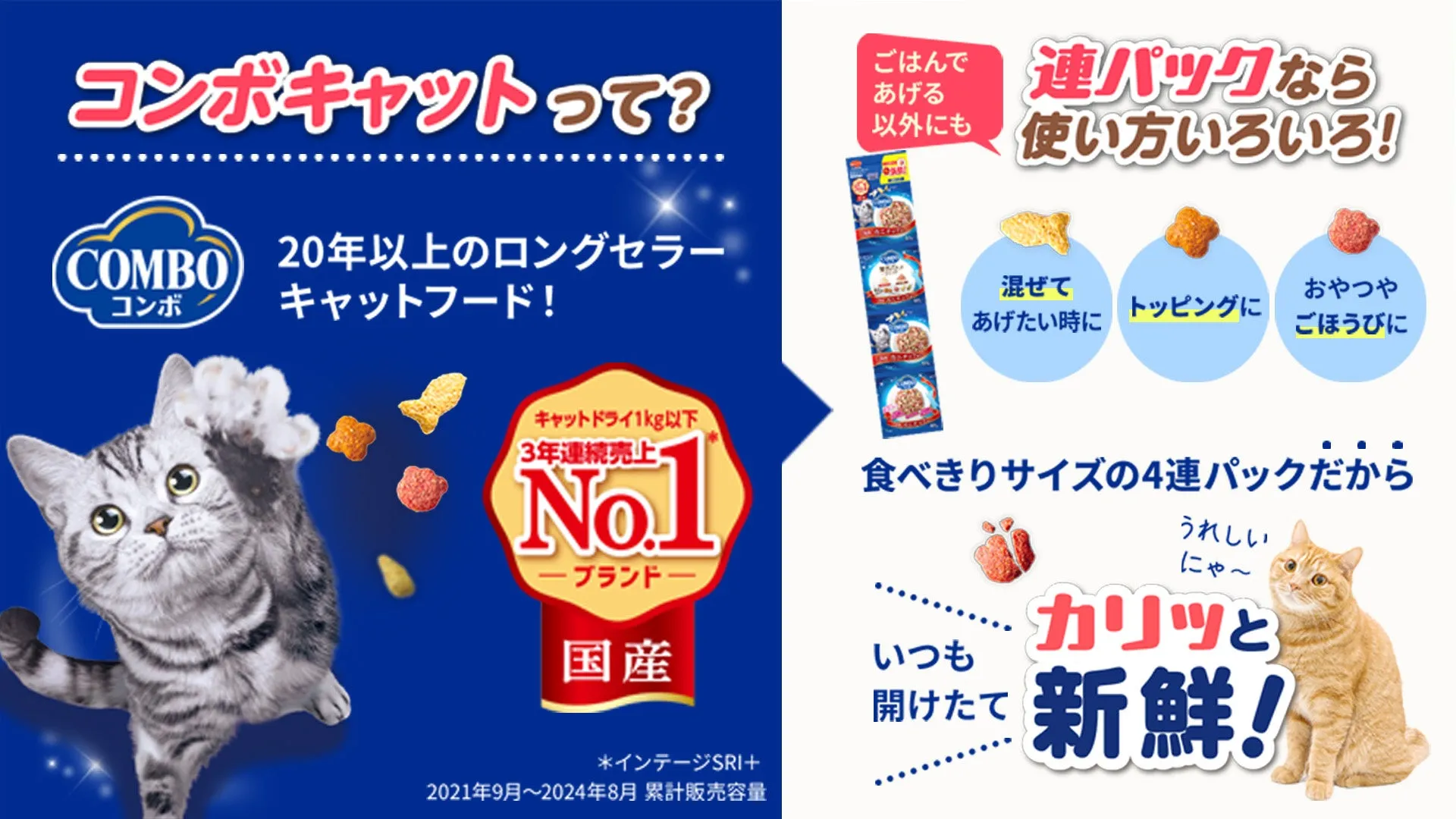 商品集合写真