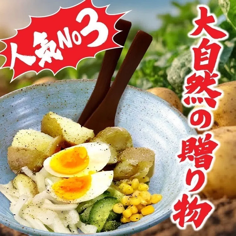 人気のメニュー2