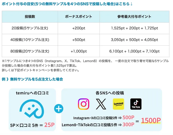 temiru キャンペーンイメージ