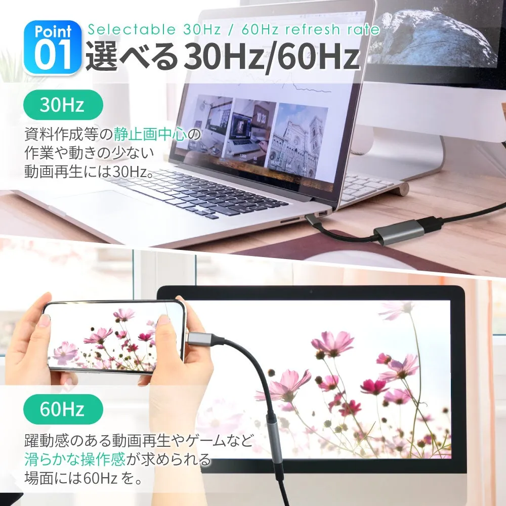 ミラー＆拡張モード