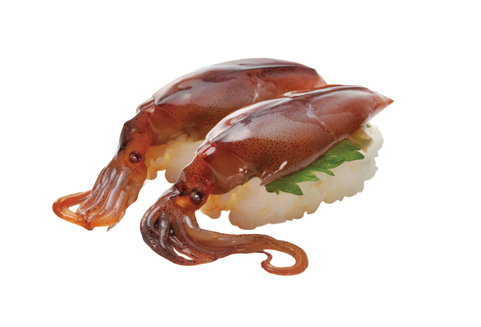 福井県水揚げ 漬けほたるいか