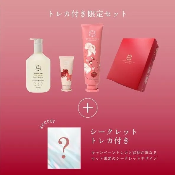 限定セットのイメージ