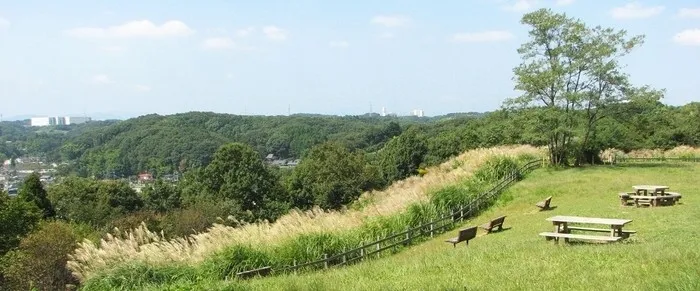 小山田緑地の風景