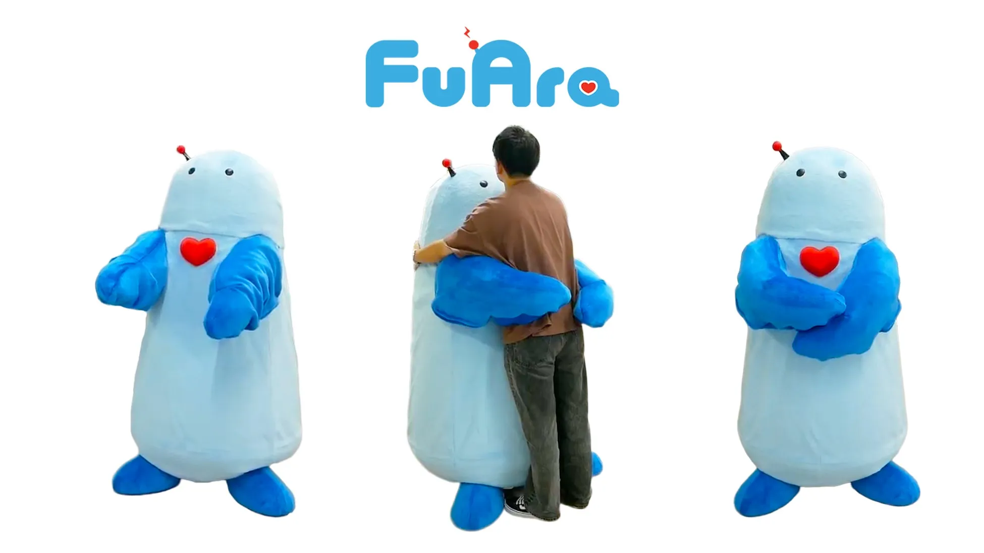 FuAraの全体像