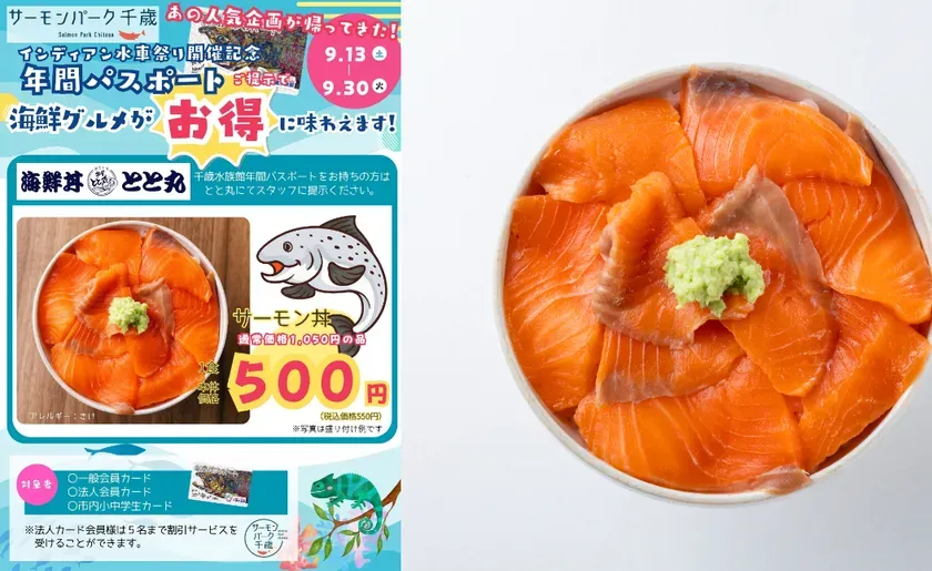 年間パスで人気サーモン丼がお得に!