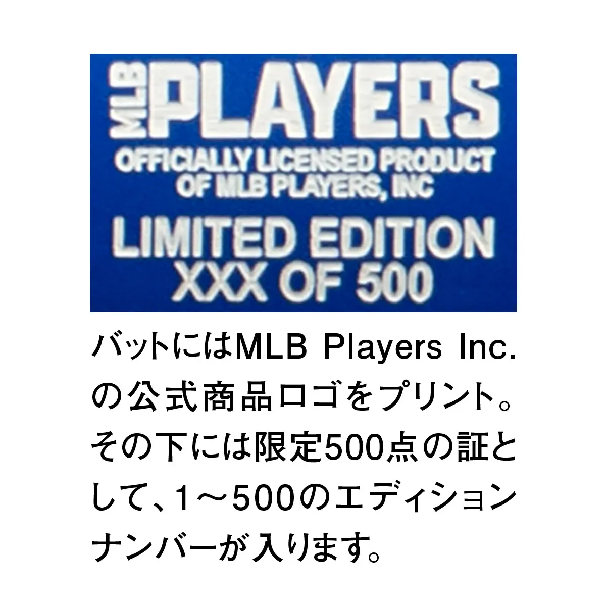 バットの全体像