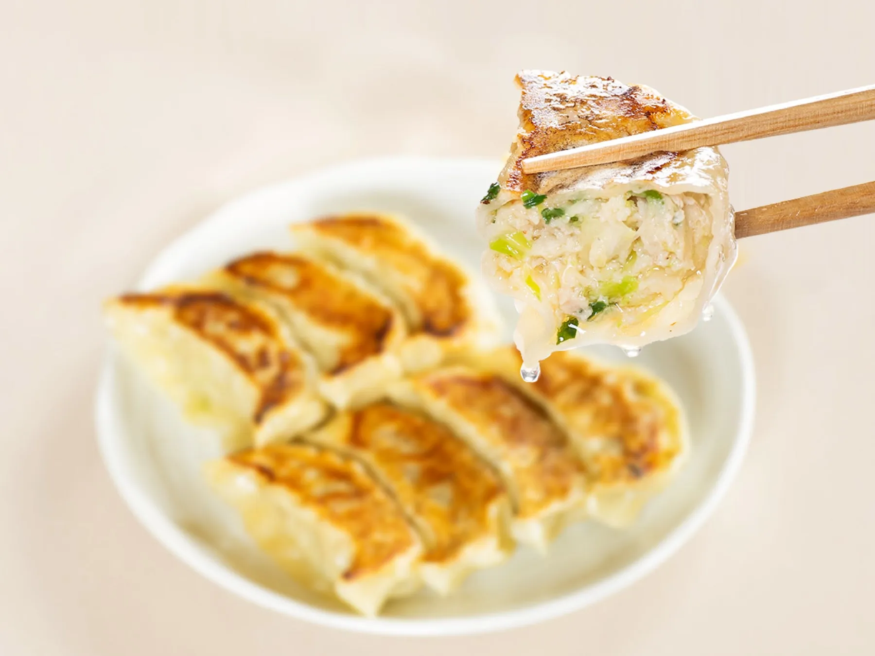 爆じゅう餃子商品イメージ