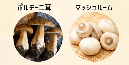 ポルチーニソースの詳細
