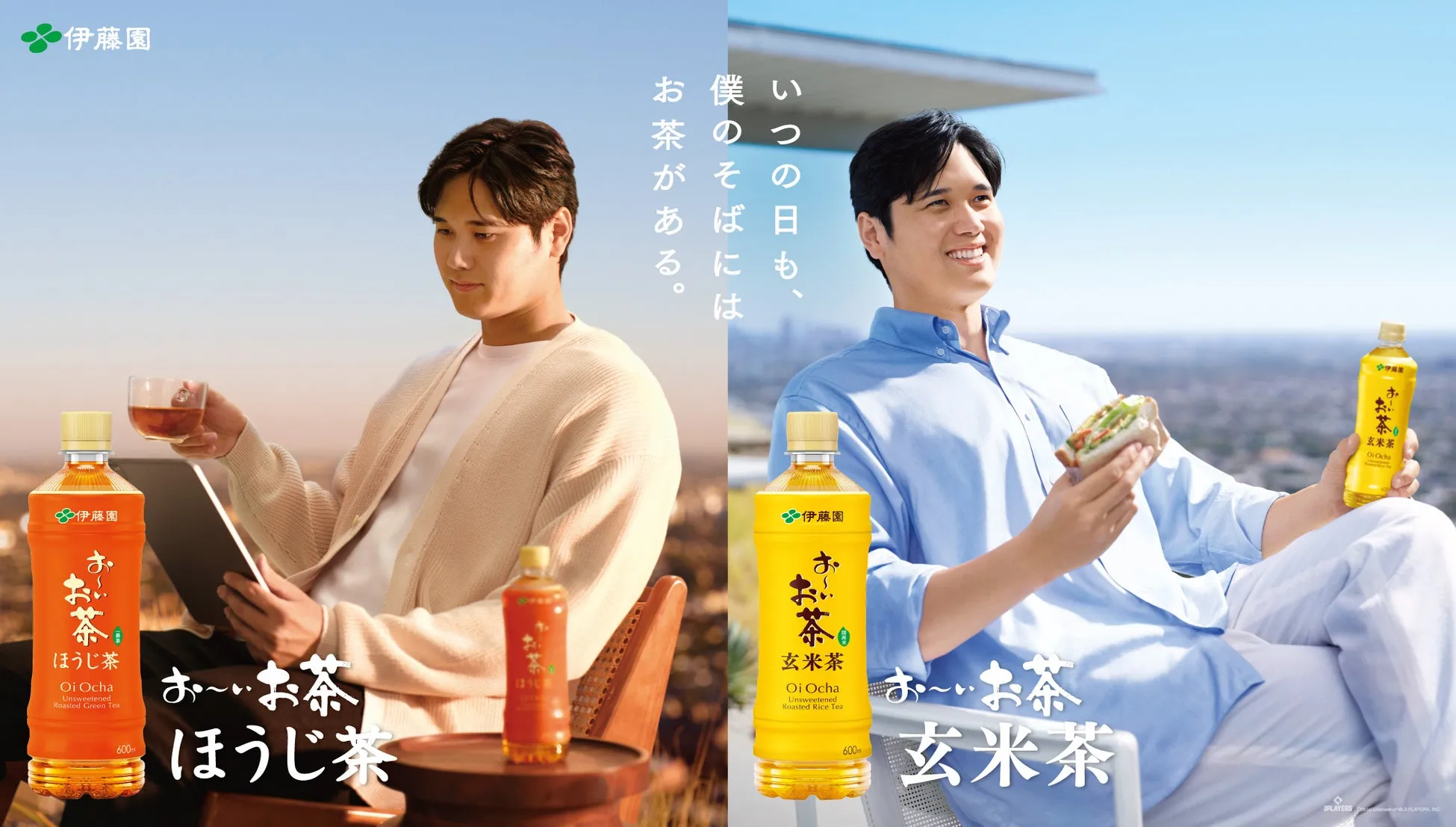 大谷翔平も愛飲！「お～いお茶 ほうじ茶・玄米茶」で叶える至福の“なにもやらない時間”