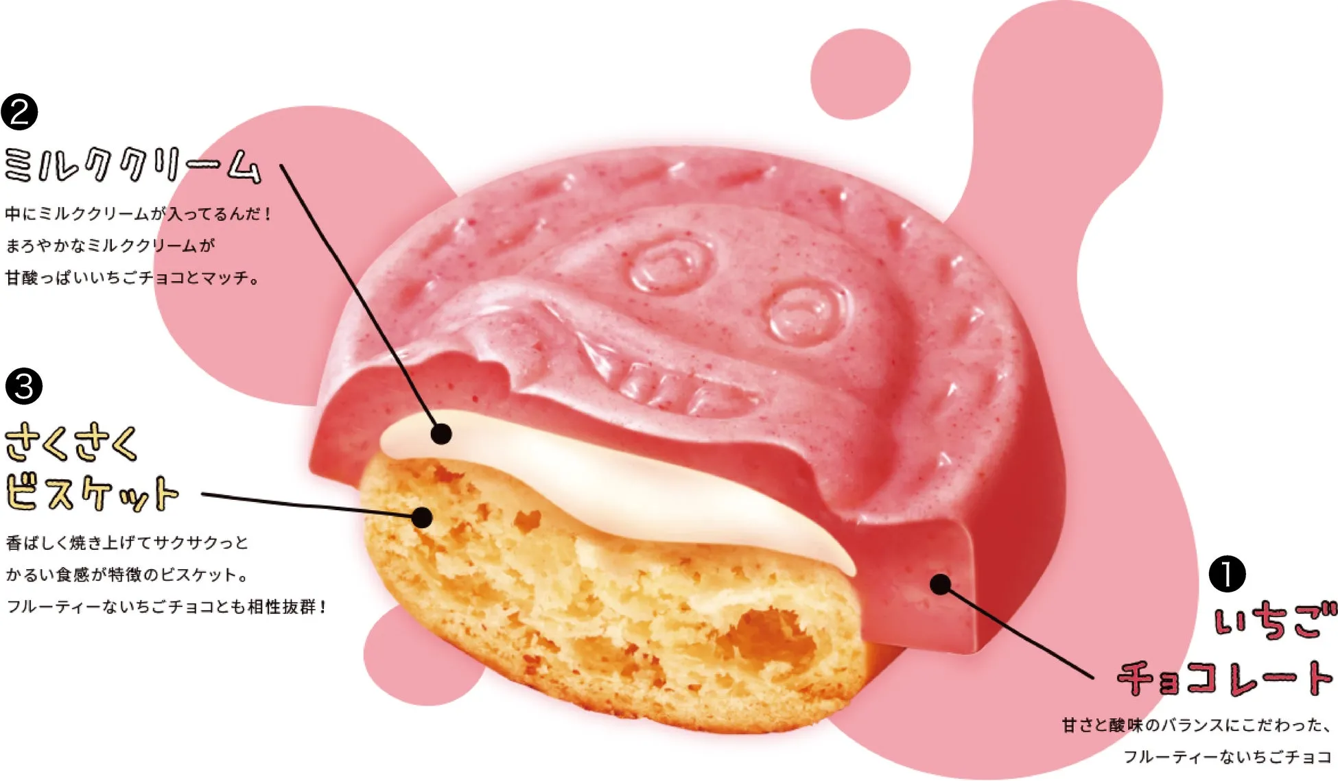 断面図とこだわりポイント