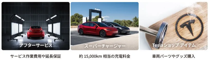 テスラのサービスと製品に関する画像