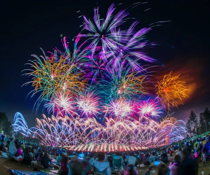 夜空に打ち上げられた色とりどりの花火の様子