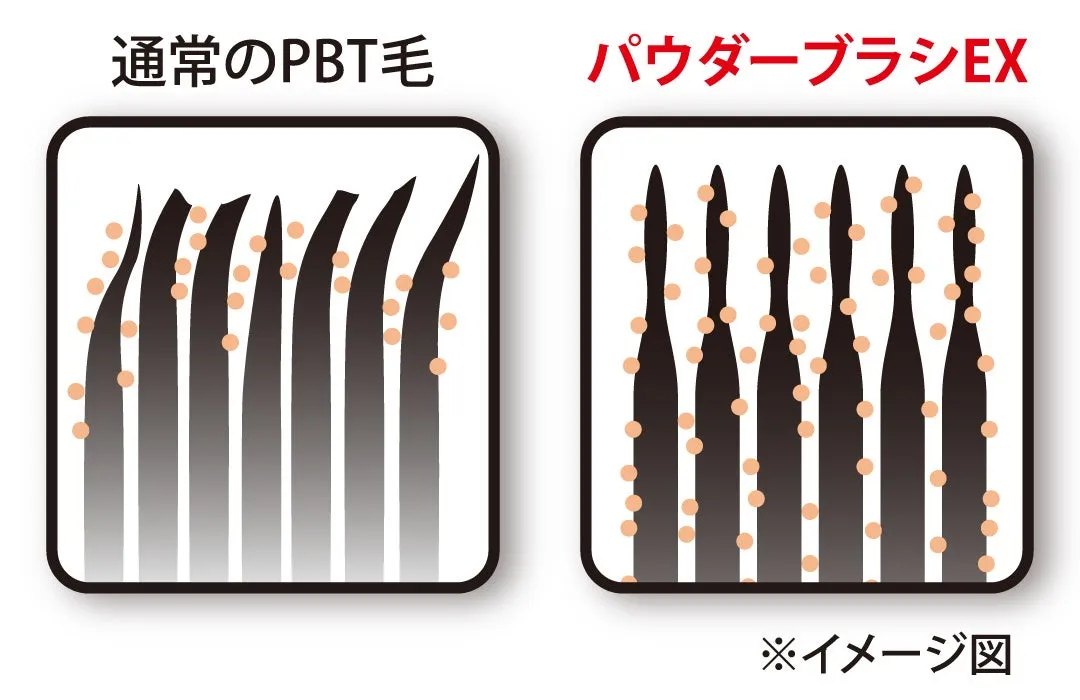 PBT毛とパウダーブラシEXの比較