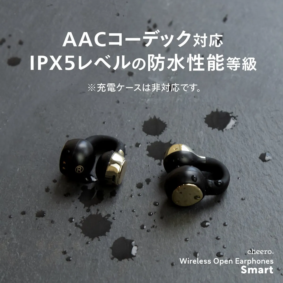 黒色のイヤホンが2つ並んだ写真です。イヤホンは防水性能を持ち、AACコーデックに対応していると記載されています。