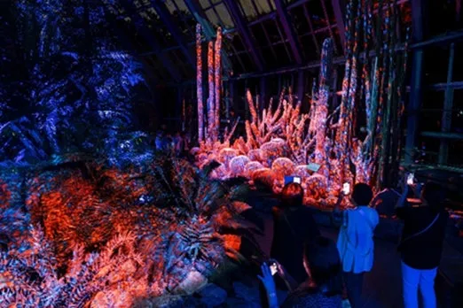 ライトアップされた植物園の様子。観客がスマートフォンで写真を撮っている。