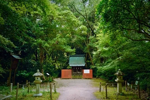緑豊かな木々に囲まれた、日本の神社の入り口の風景です。石灯籠や鳥居、本殿が見えます。
