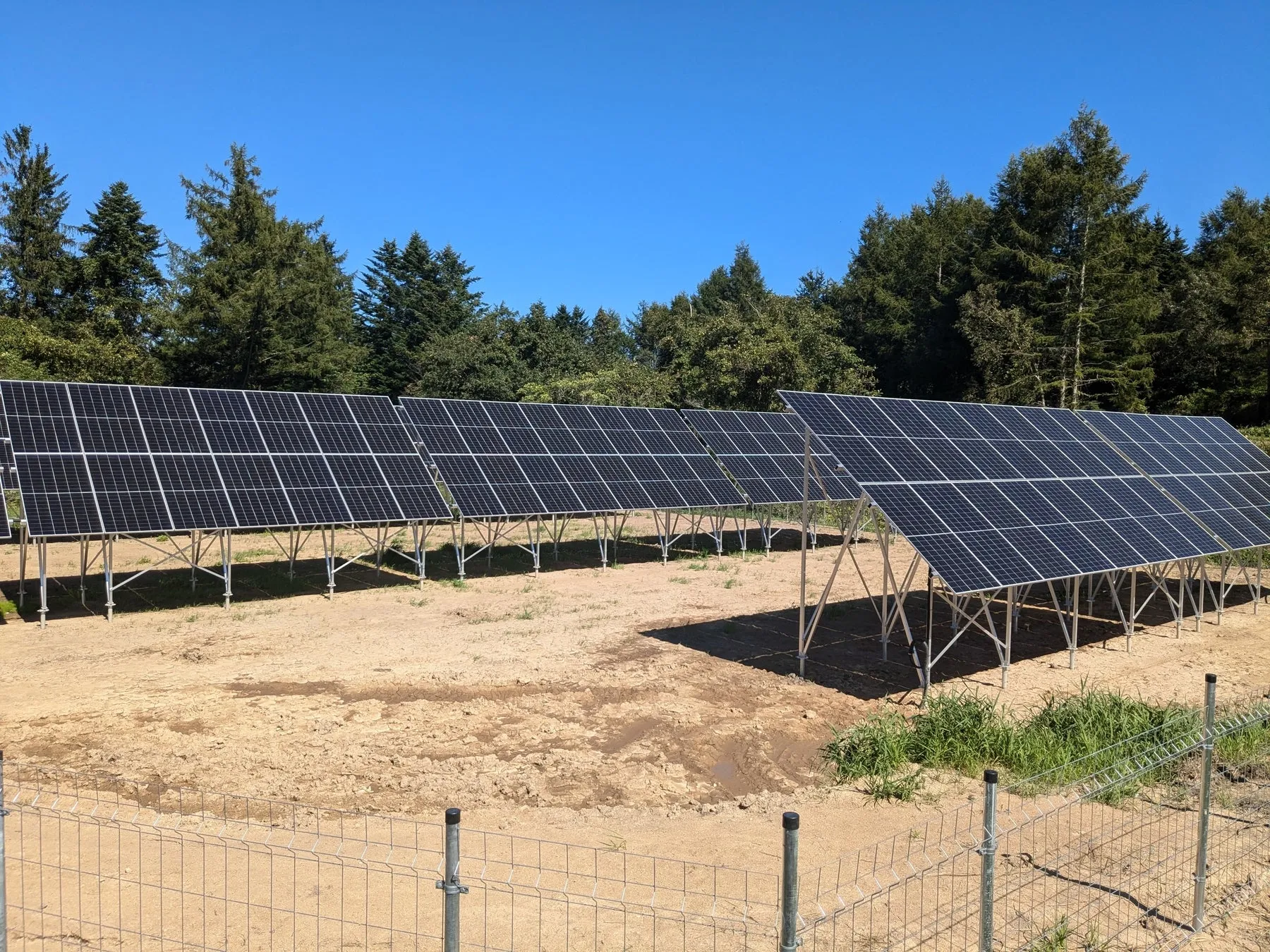 太陽光発電パネルが並んだ風景