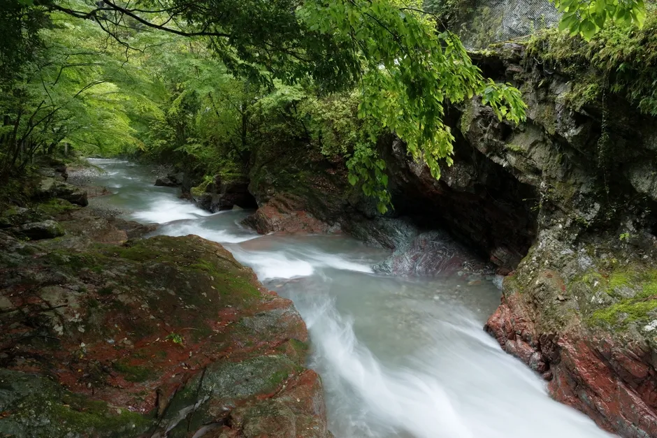 川の流れと木々が生い茂る風景
