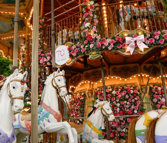 メリーゴーランドの写真。白馬の乗り物があり、ピンク色のバラで飾られています。70周年記念のサインが見えます。