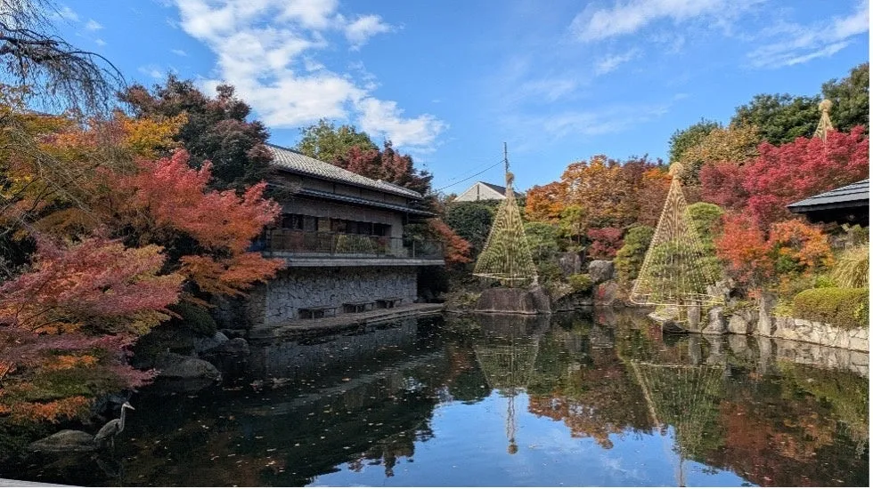 紅葉の美しい日本庭園の風景。池には建物の姿や周囲の木々が映り込み、水面に広がる風景が印象的です。日本の伝統的な建築様式と、色鮮やかな紅葉のコントラストが美しい。