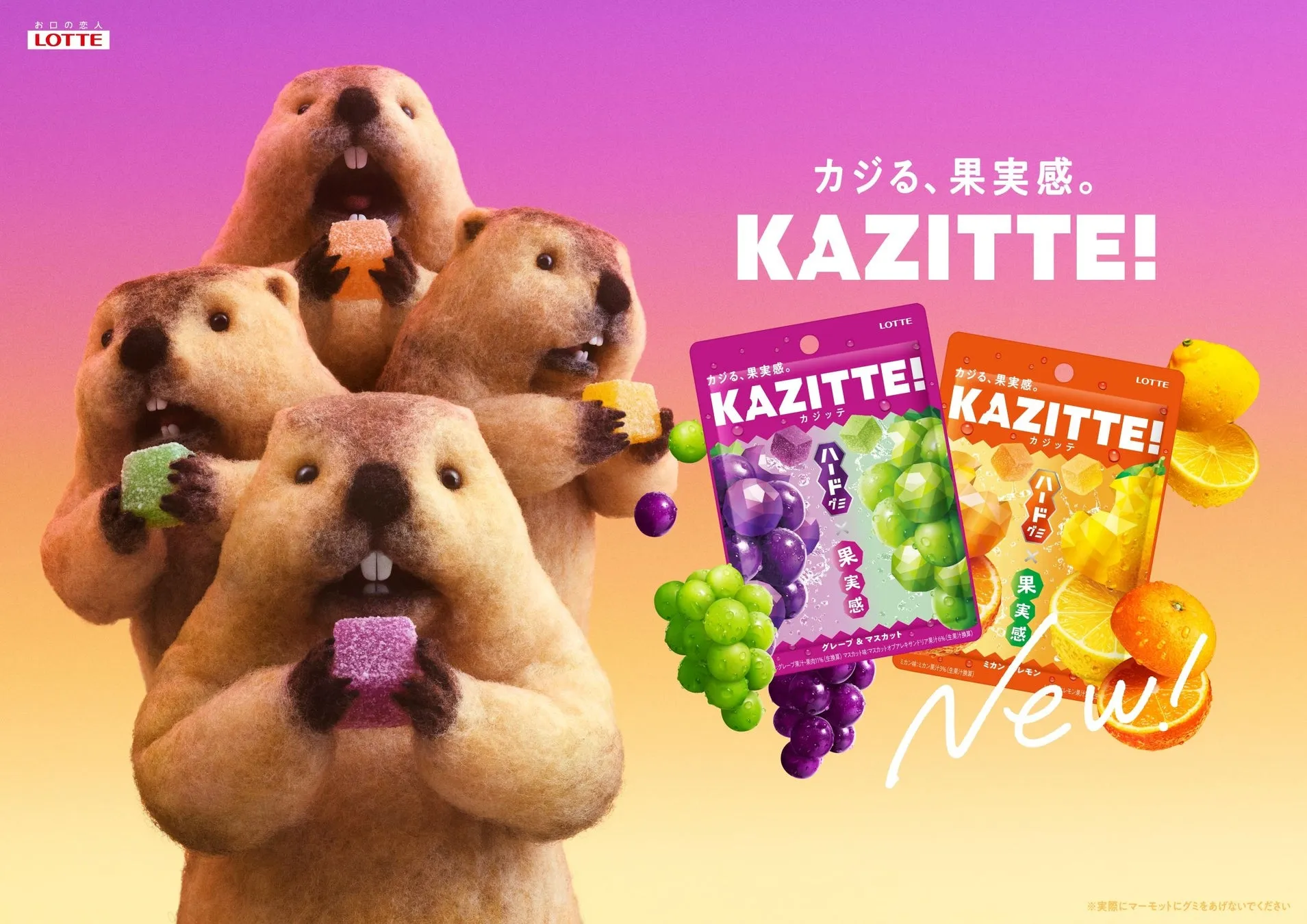 KAZITTE!広告イメージ
