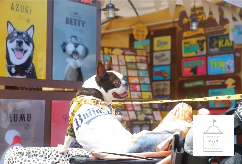 わんわんマルシェでカートに乗った犬たち