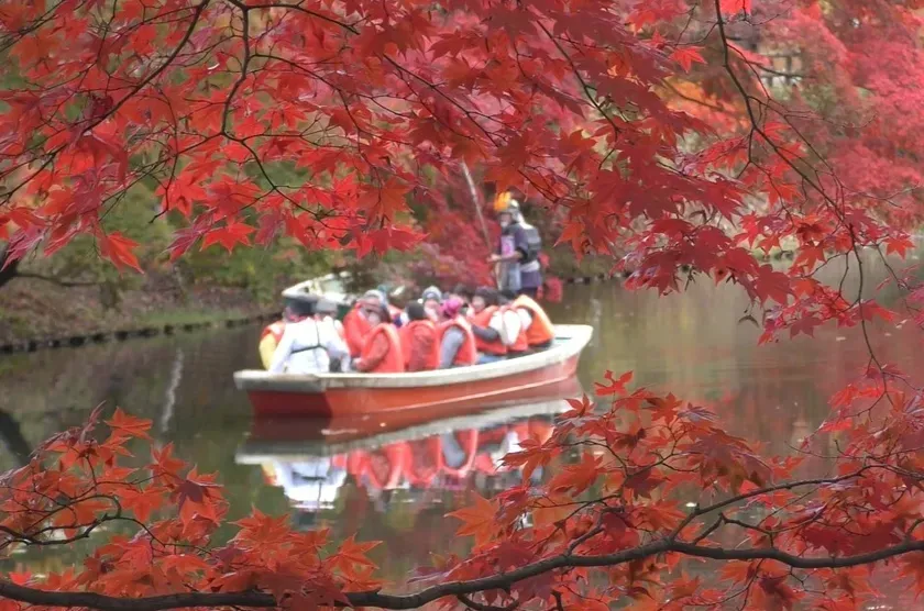 紅葉の風景の中、船に乗った人々が水面を進んでいる様子。