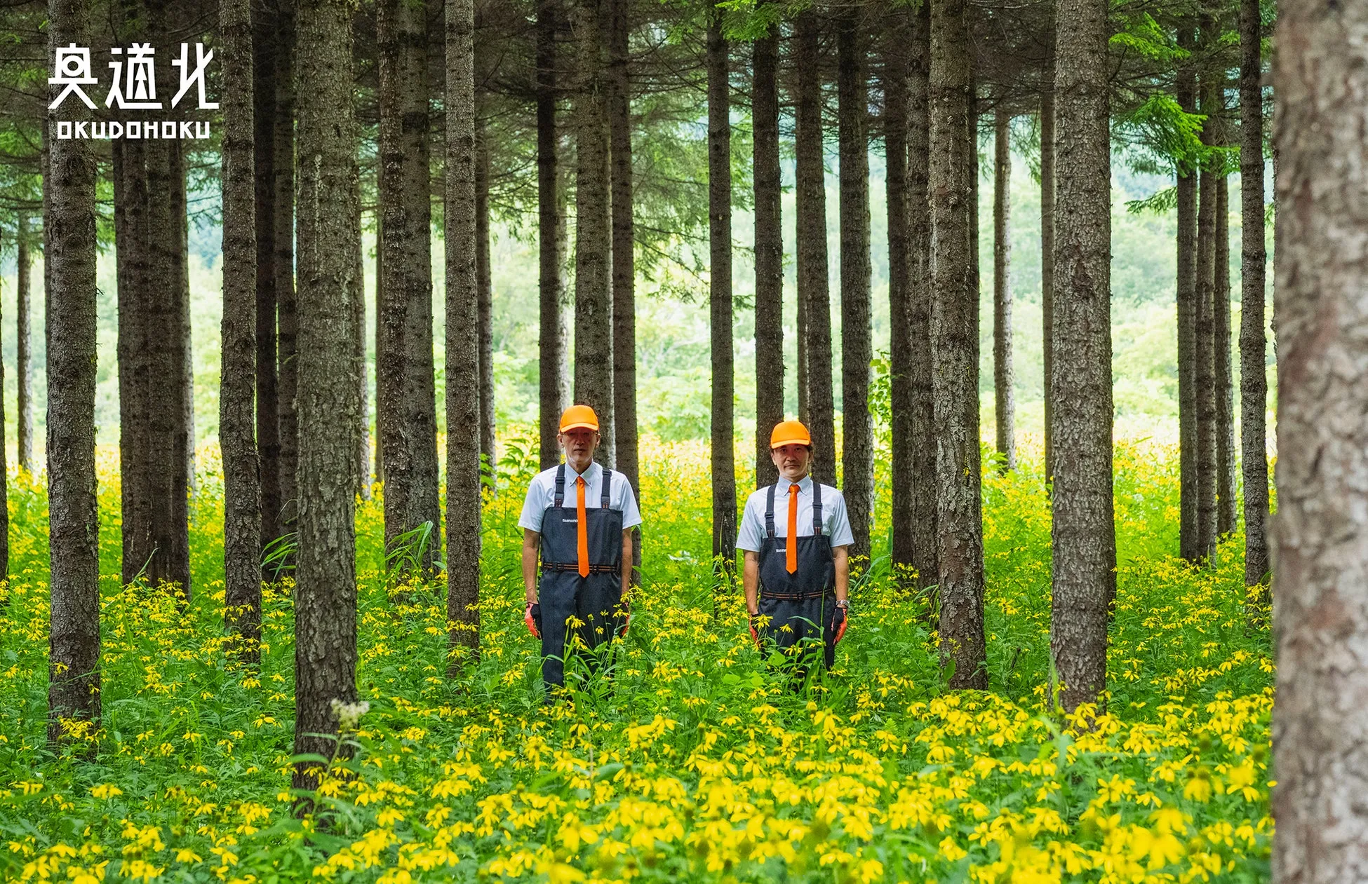 「奥道北」の知られざる魅力！北海道秘境で未来を創る体験ガイド