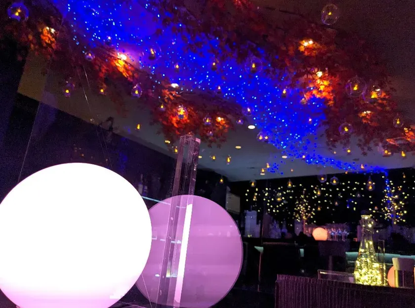 電飾で装飾されたバーの天井と、丸い照明の光景。