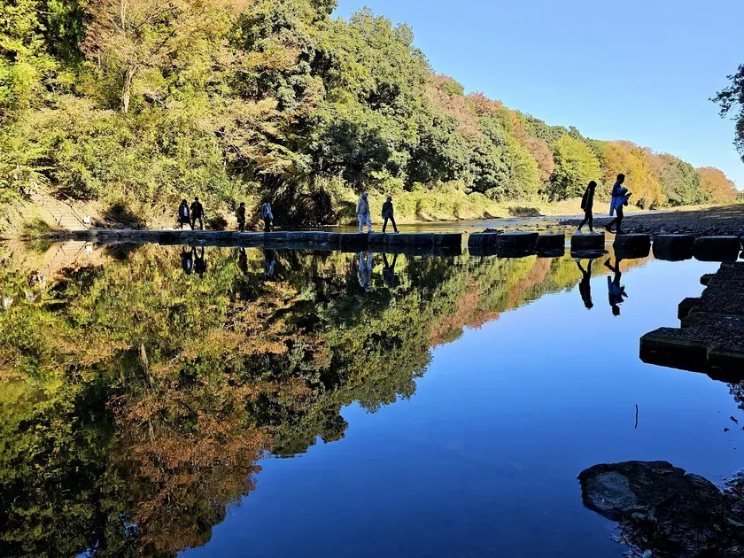 都心から1時間！嵐山渓谷紅葉まつりで発見する「武蔵の嵐山」完全ガイド