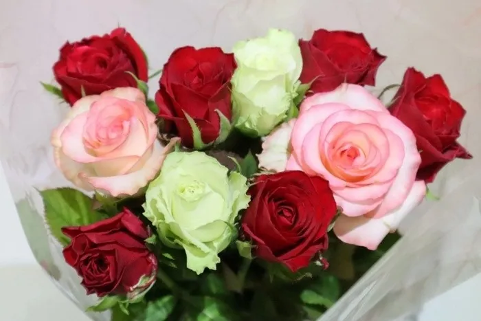 赤いバラとピンクのバラ、白いバラを組み合わせた花束