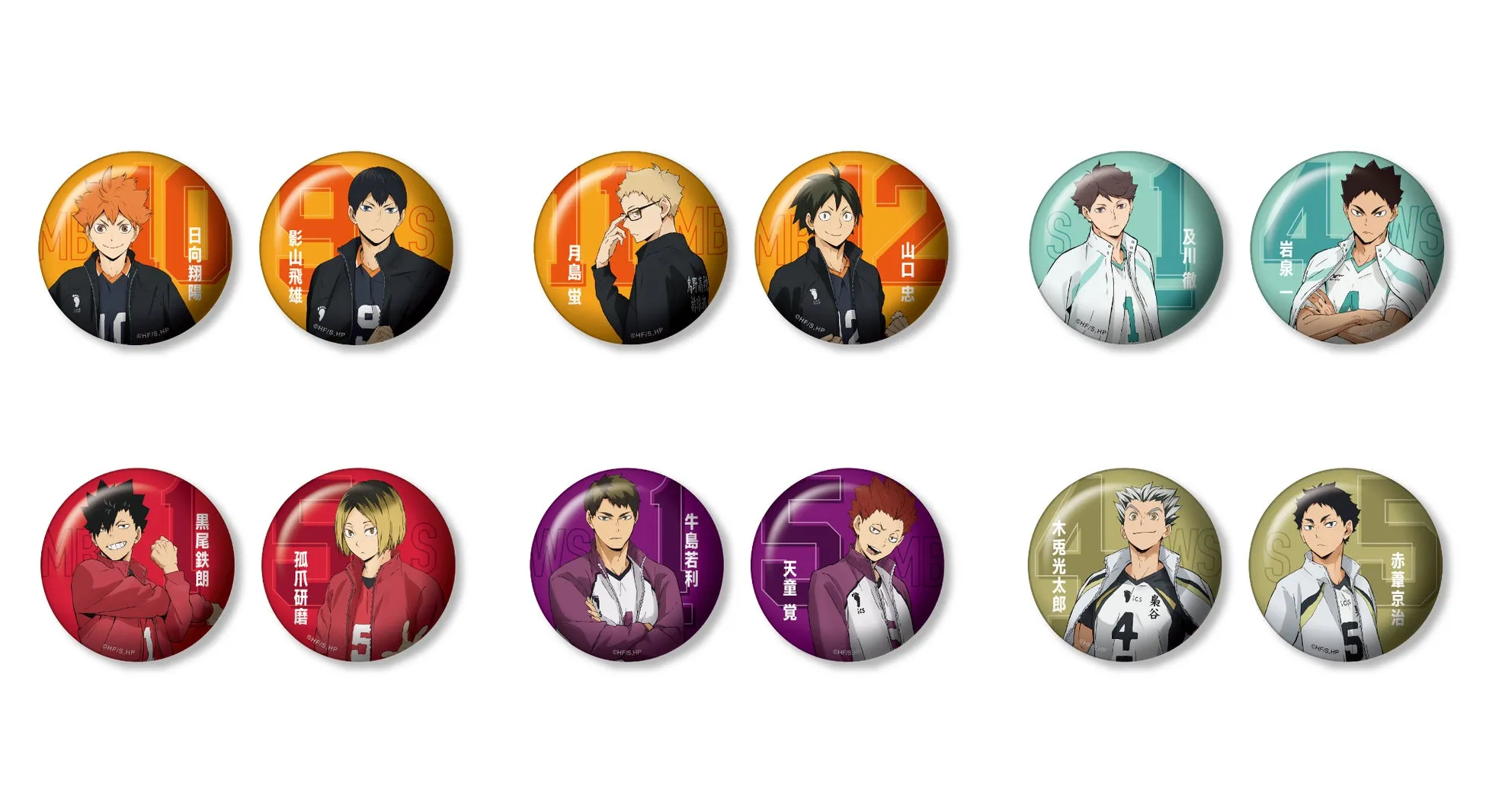 アニメ「ハイキュー!!」のキャラクターが描かれた丸い缶バッジの集合写真。日向翔陽、影山飛雄、月島蛍、山口忠、及川徹、岩泉一、黒尾鉄朗、孤爪研磨、牛島若利、天童覚、木兎光太郎、赤葦京治の12人が写っている。