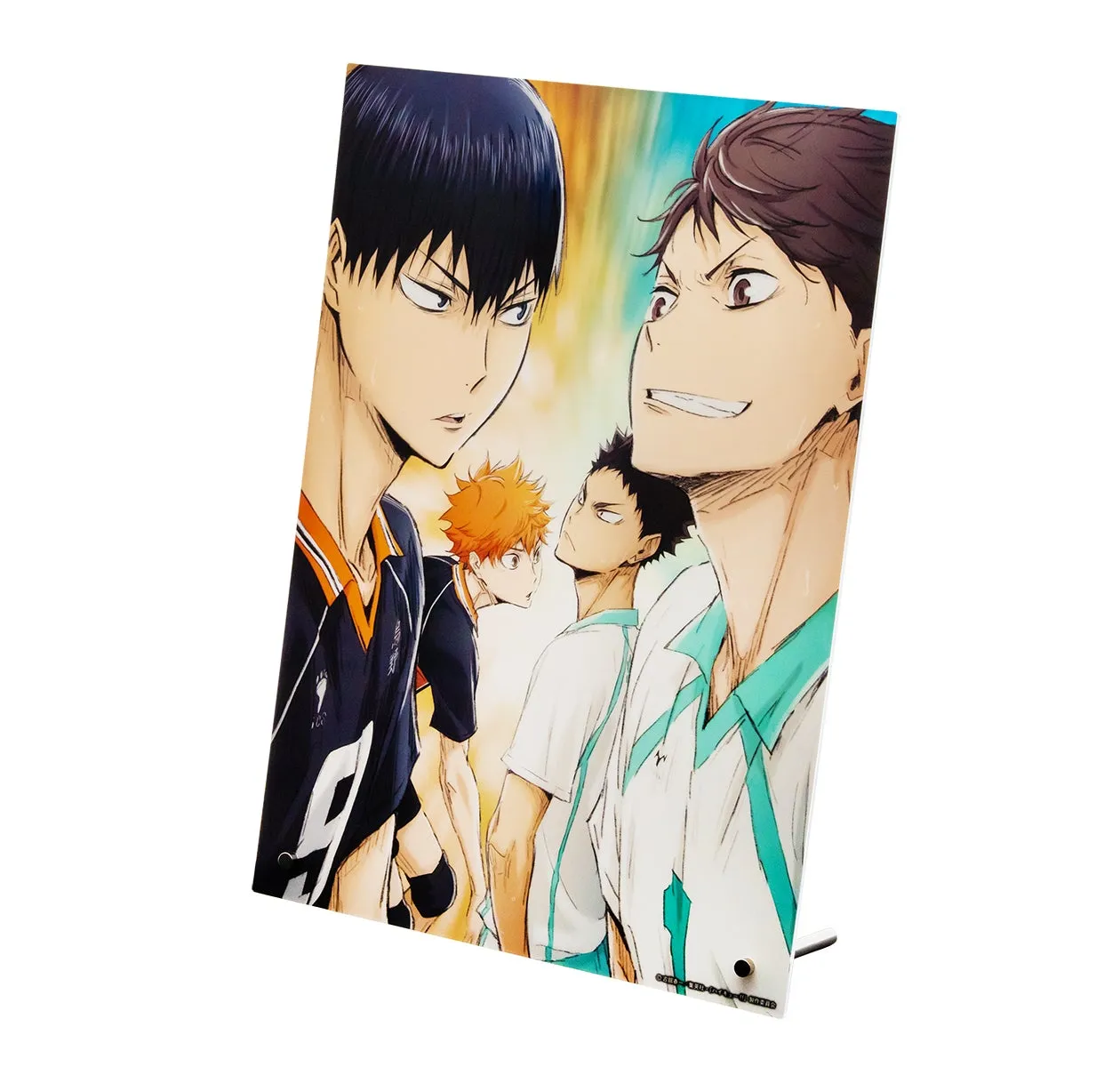 アニメ「ハイキュー!!」のキャラクターが描かれたイラストです。日向翔陽、影山飛雄、及川徹などが描かれています。