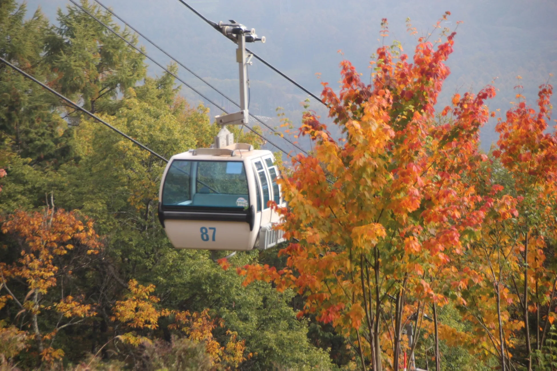 【入笠山】奇跡の晩秋!雲海×三段紅葉の絶景を日帰りで独り占め