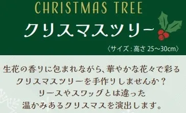 クリスマスツリーの紹介