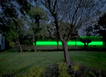 夜の公園の風景で、芝生と木が前景にあり、奥には木々が並び、右側には木が立っています。緑色のテキストが画像に重ねられています。