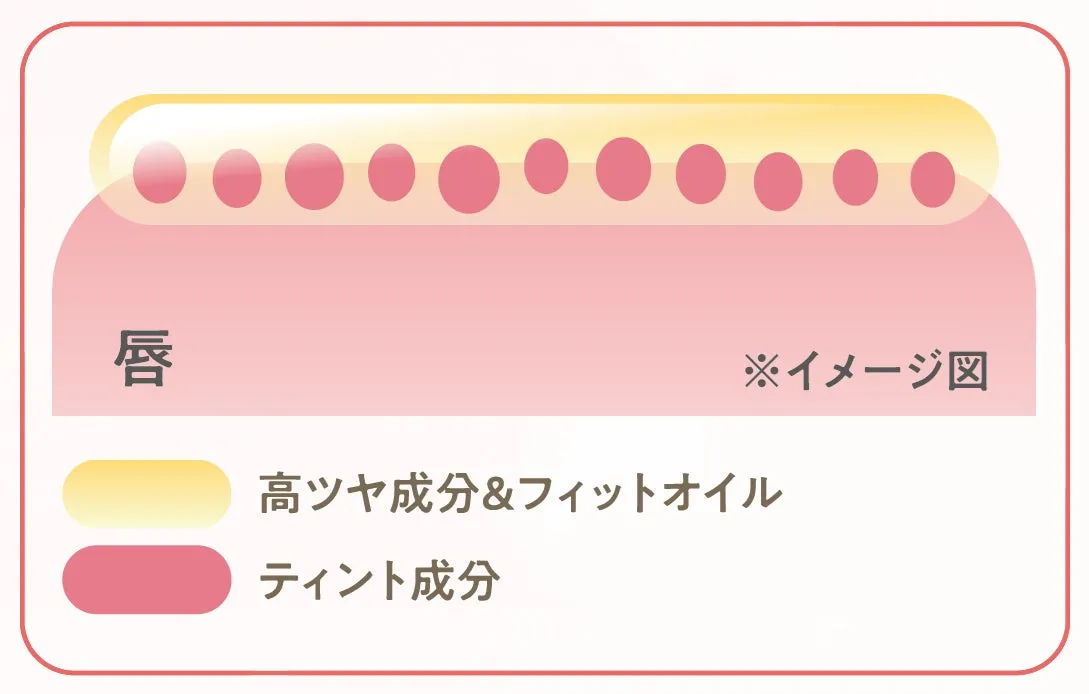 唇の構造を示すイラスト。上部に高ツヤ成分とフィットオイル、下部にティント成分が配置されている。