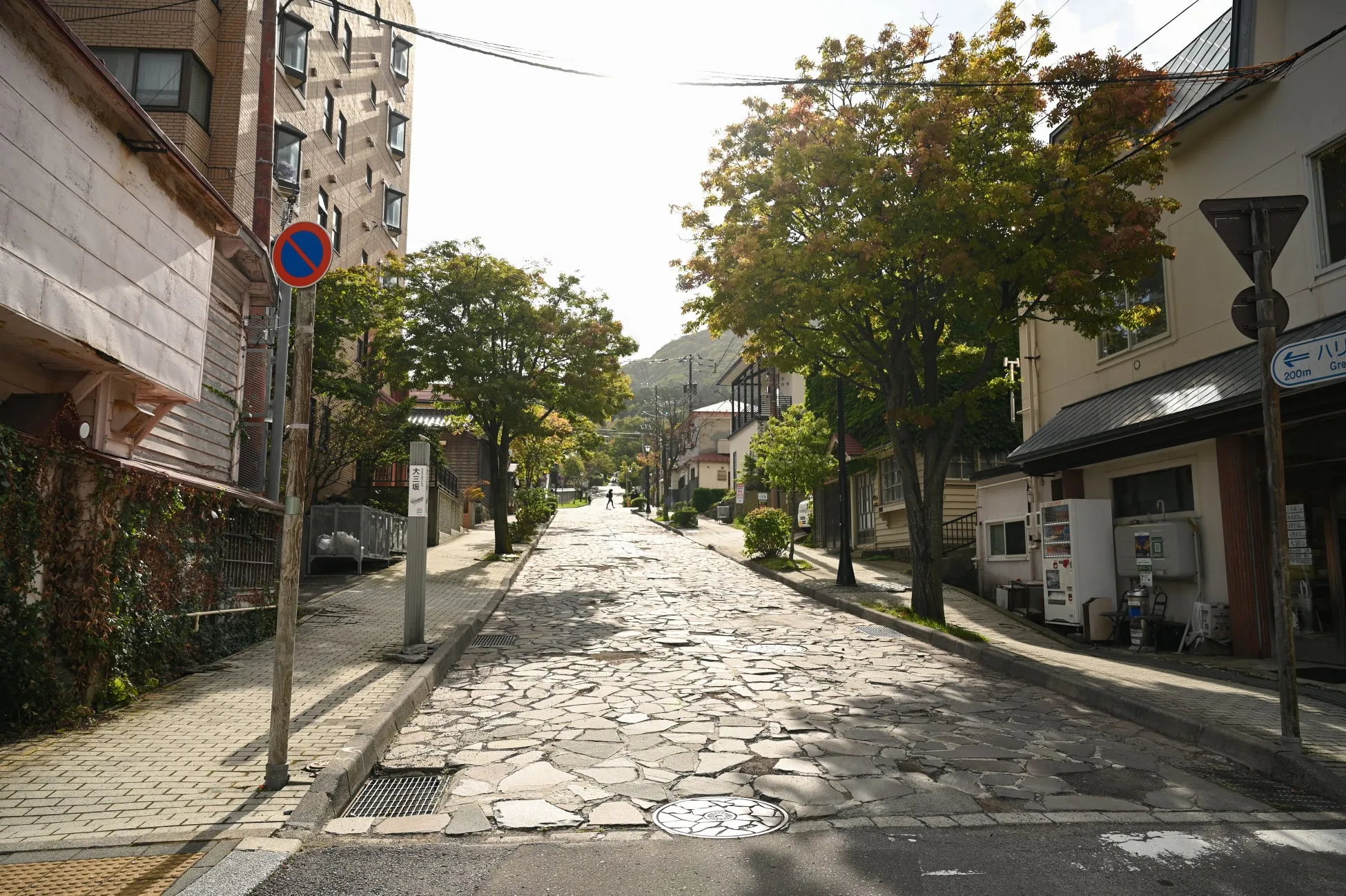 石畳の坂道の風景。道の両側には建物と木々が並び、遠くには山が見える