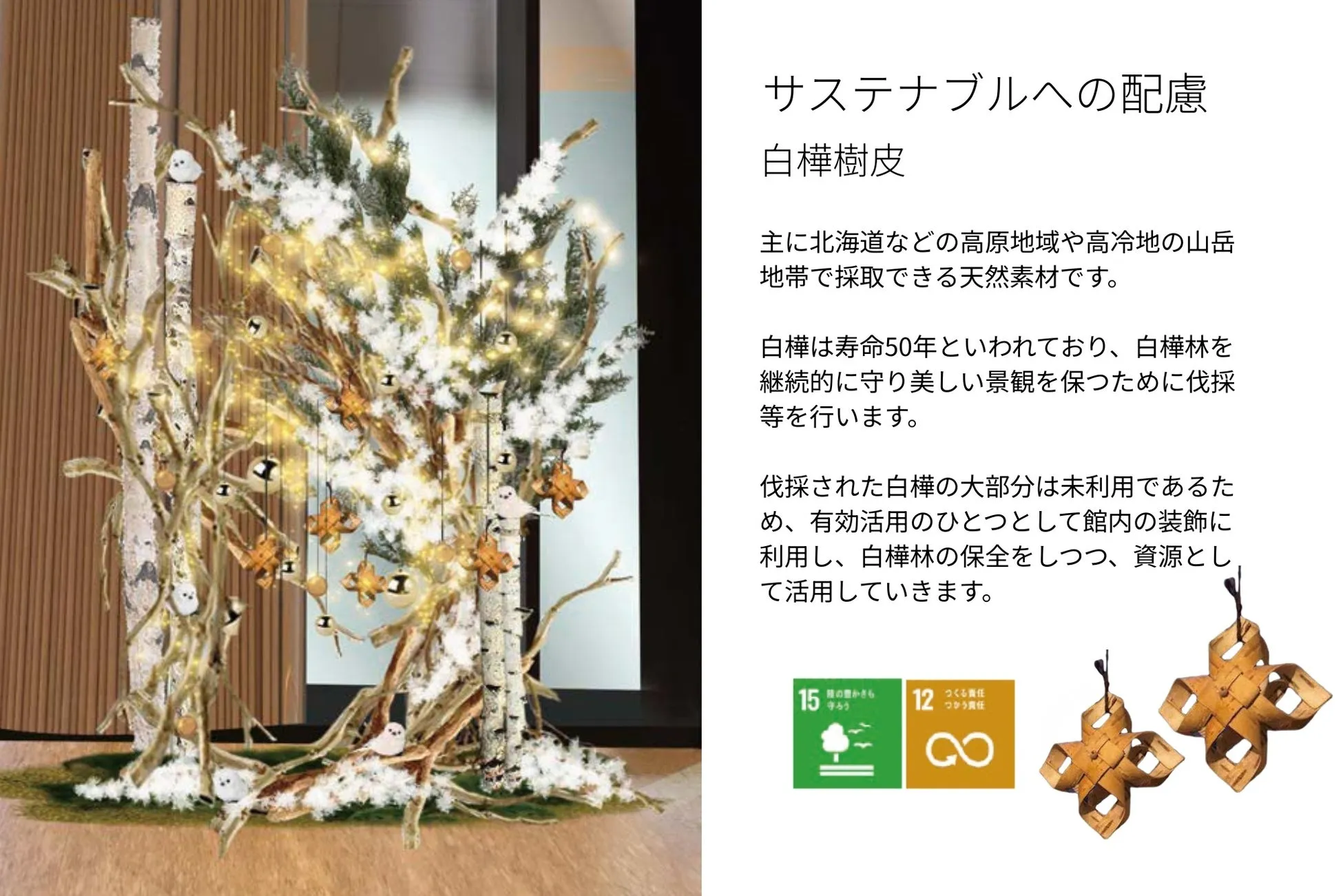 白樺樹皮と説明