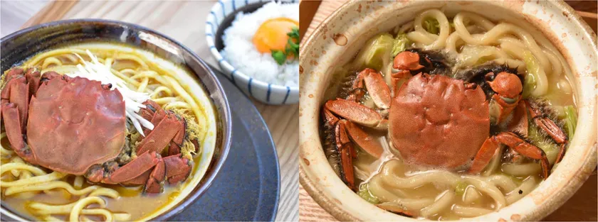 驚愕!伊豆の隠れた絶品「かぼちゃ育ちズガニラーメン」を道の駅 月ケ瀬で体験