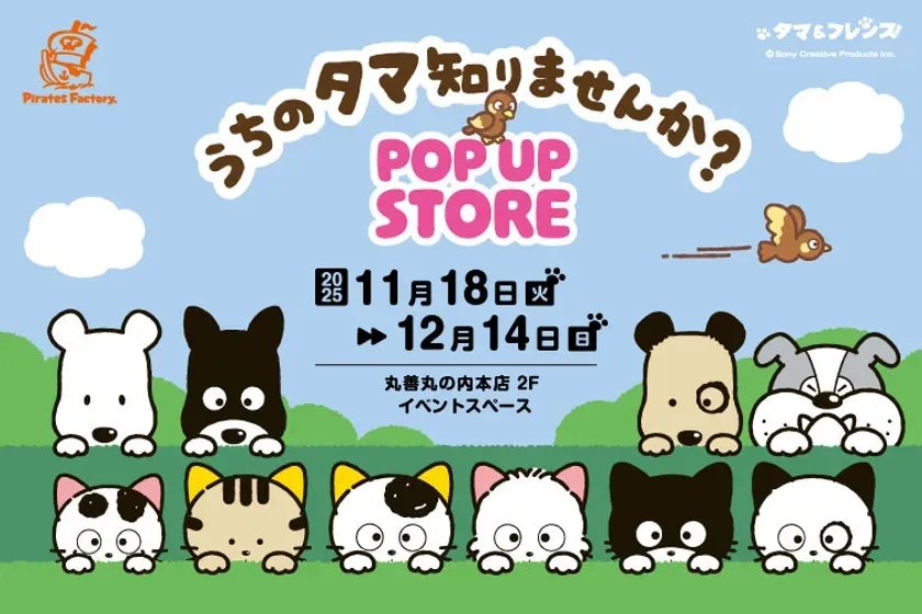 タマ&フレンズ×サンリオ!丸善で開催、奇跡のコラボPOP UP STOREが胸キュン!