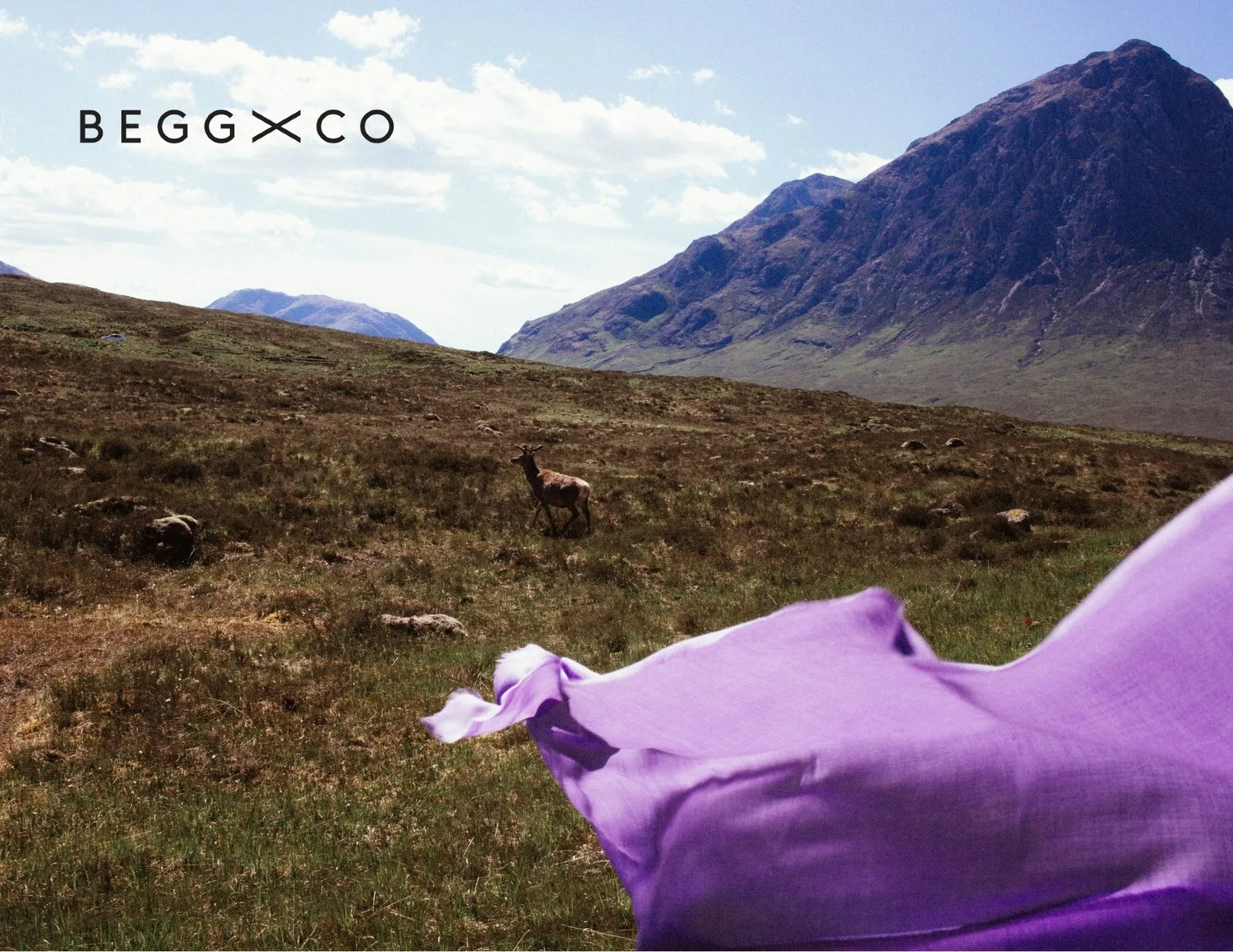 【BEGG X CO】とろけるカシミヤに感動！伊勢丹・三越で体験する極上の冬小物