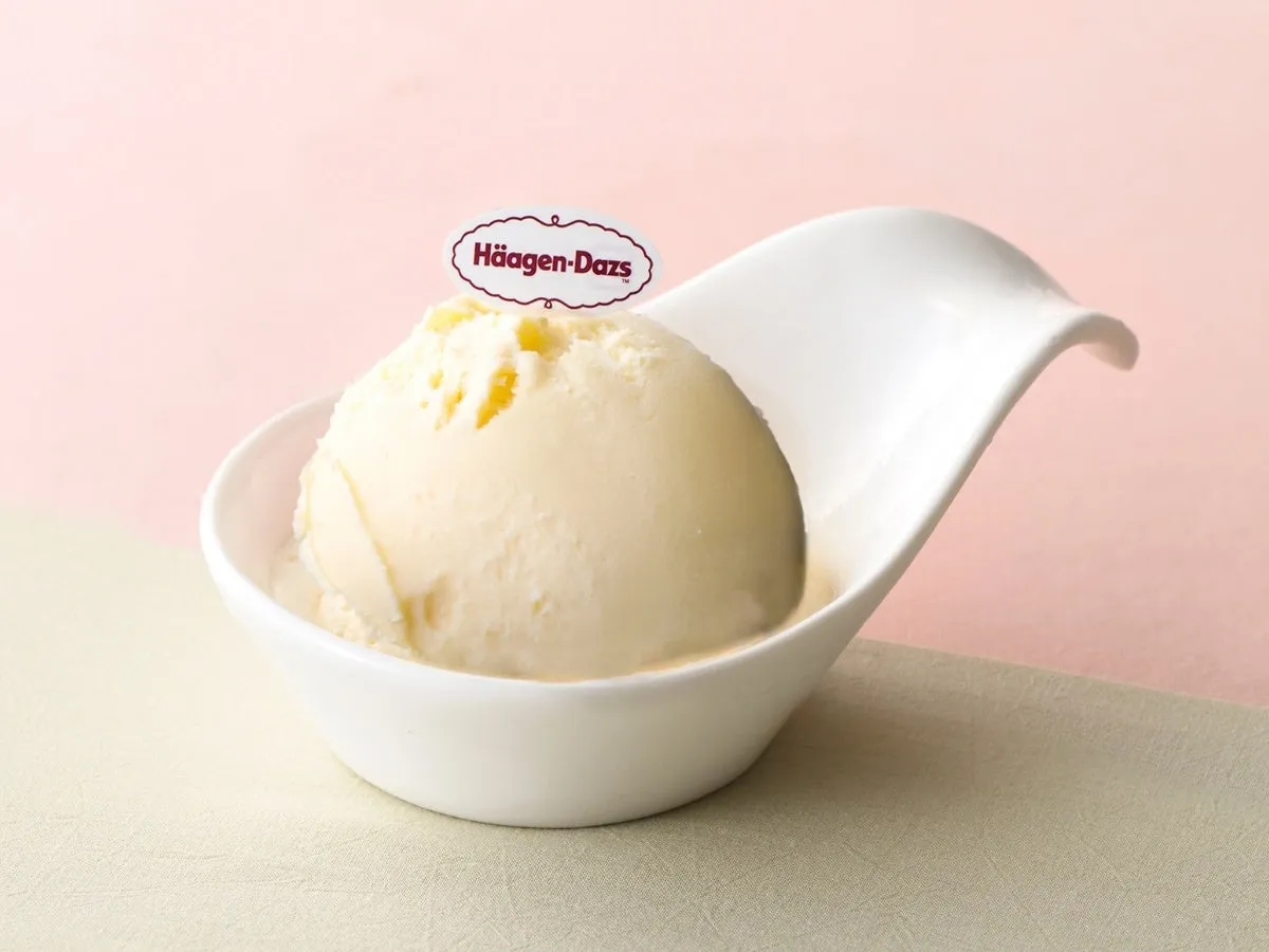 白い器に入ったハーゲンダッツのアイスクリーム