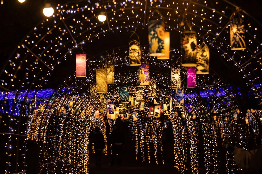 昨年の開催様子：光のトンネル